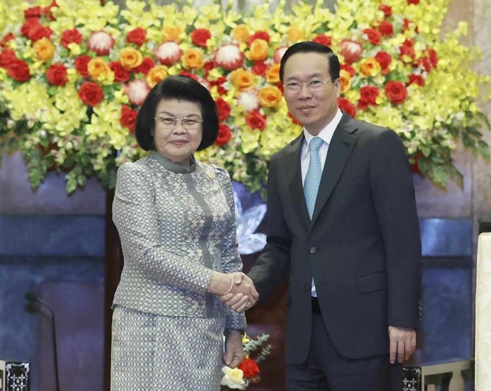 President urges Vietnam-Cambodia border demarcation, marker planting completion